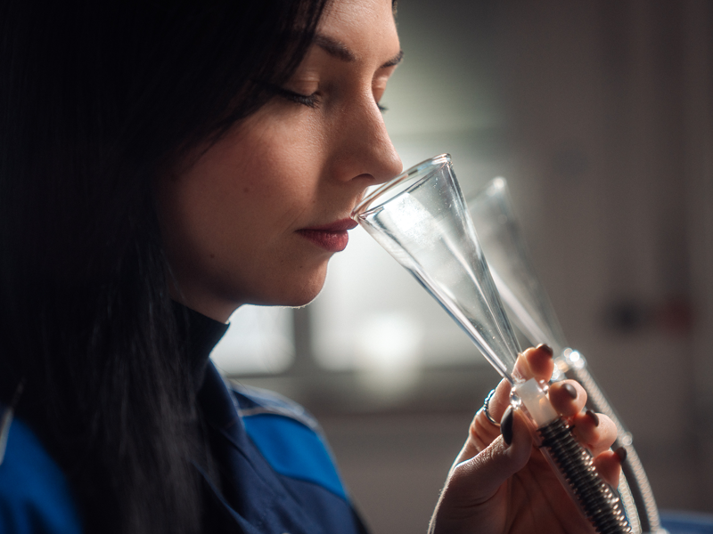 -- kein Bild vorhanden --